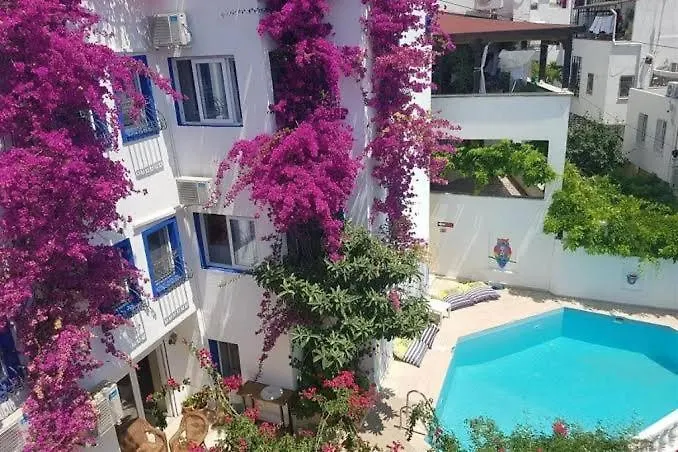 Angel Butik Otel Bodrum 0*,  터키