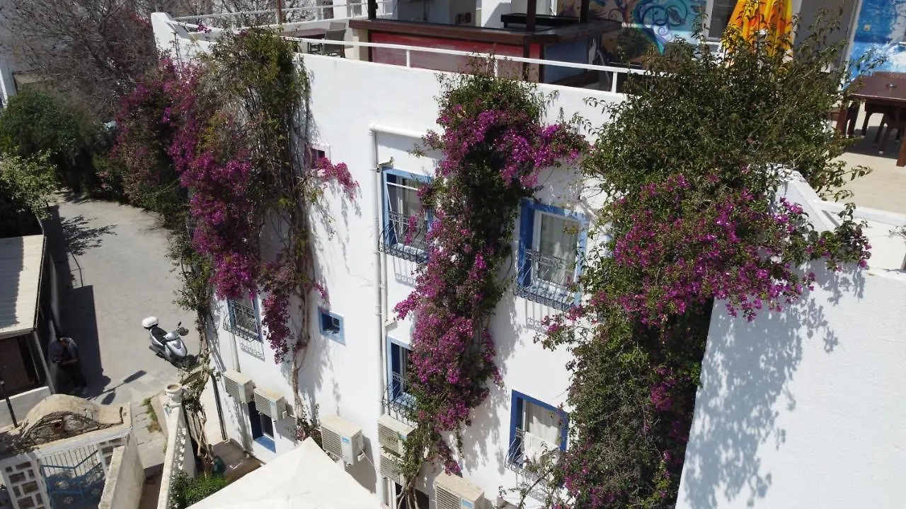 호텔 Angel Butik Otel Bodrum 터키